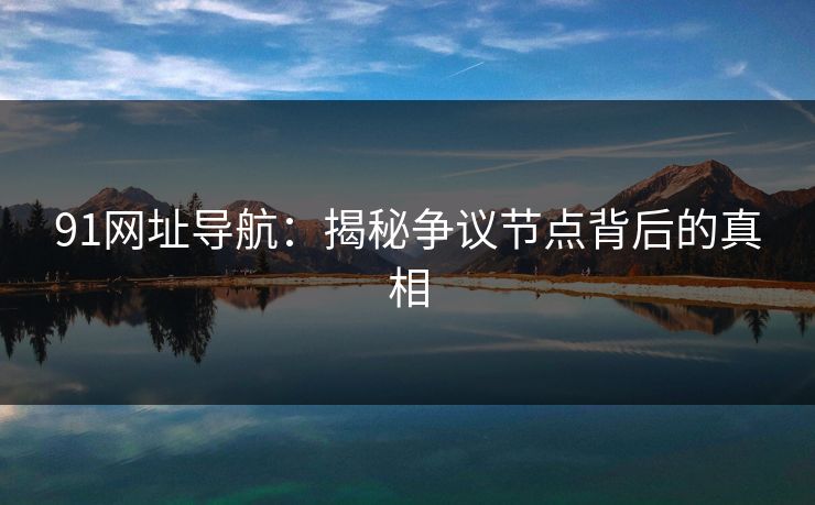 91网址导航：揭秘争议节点背后的真相